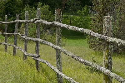 Old field fence